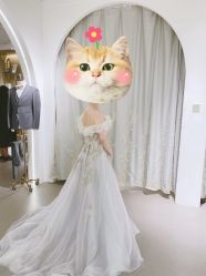 -艾米丽婚纱礼服