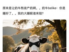 -老黄记手撕烤兔(玉林街店)