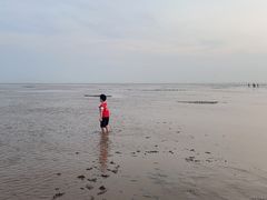 -南汇嘴观海公园