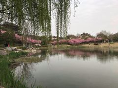 -南山风景名胜区