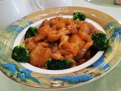 花胶焖柚皮-百乐门喜宴(海珠广场华厦店)