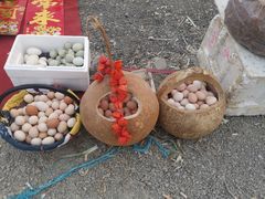 -蒲河大集