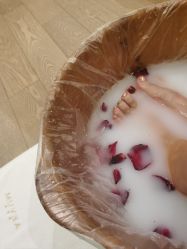 -奥斯芬欧系贵族SPA