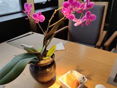 -杭州大厦宾馆