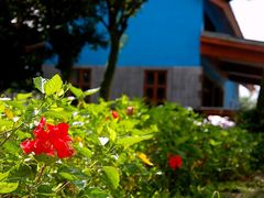 -开心农场温泉度假村