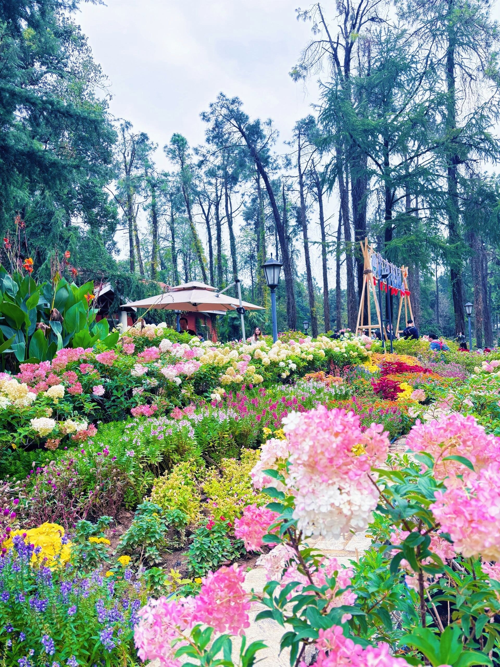 这个秋天武汉植物园美爆了!享受收获的季节!
