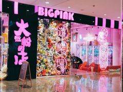 -BIG PINK大粉娃娃机主题馆(圆融星座店)