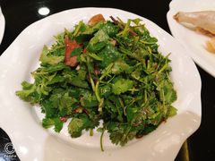 -新南华大酒店(广中店)