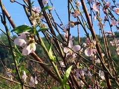 -水濂山森林公园