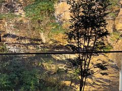 -雅苑中餐厅