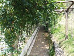 -韶关经律论国际酒店温泉