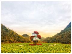 -广州市石门国家森林公园