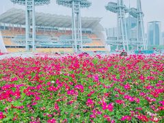 -海心沙亚运公园