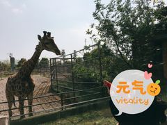 -常州淹城野生动物世界