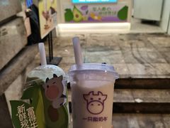 -一只酸奶牛(春熙路店)