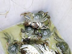 -蟹状元大闸蟹·年货·粽子(成都成华店)