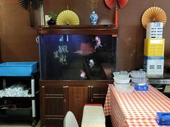 -邵年鸽(杨庄店)