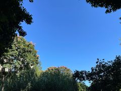 -成都市活水公园