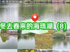 -海珠湖公园