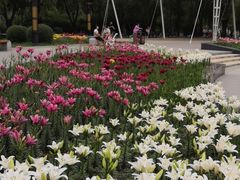 -长春公园(普阳街道)