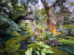 -Chom Cafe and Restaurant