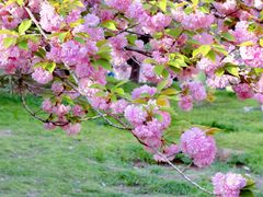 -朝阳公园