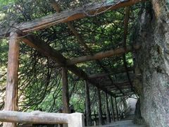 -雁荡山三折瀑景区