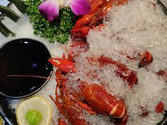 -红辣椒·川菜·火锅(张杨路店)