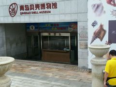 -青岛贝壳博物馆