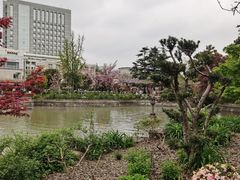 -嘉定紫藤园