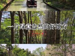 -同里国家湿地公园