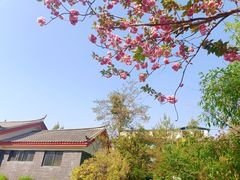 -黑龙潭公园