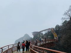 -少华山国家森林公园