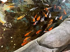 -泉州海丝野生动物世界