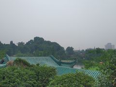 -桂湖森林公园