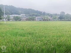 -韶山毛泽东同志故居