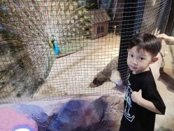 -酷嗒动物文化乐园(cutezoo西溪乐天城店)