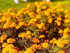 -春晖园度假酒店温泉