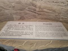 -白鹤梁水下博物馆