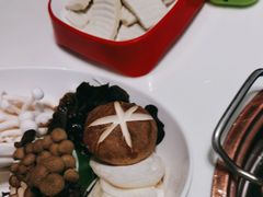-洪氏嗨捞·猪肚鸡火锅(阳光天地店)