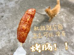 -上海海湾国家森林公园