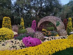 -上海共青森林公园