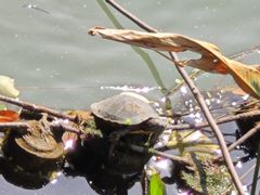 -南通濠河风景名胜区