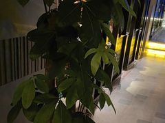 -浅深Cheersum(曹杨店)