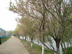 -羊山湖公园