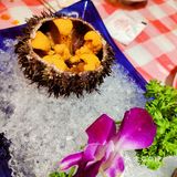 威海山大～海鲜烧烤大排档[种草][种草][种草]