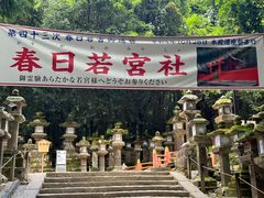 -奈良公园