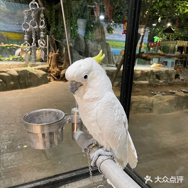 一家超好玩的萌宠乐园 遛娃好去处[调皮]