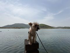 -南北湖风景区