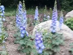 -迎泽公园